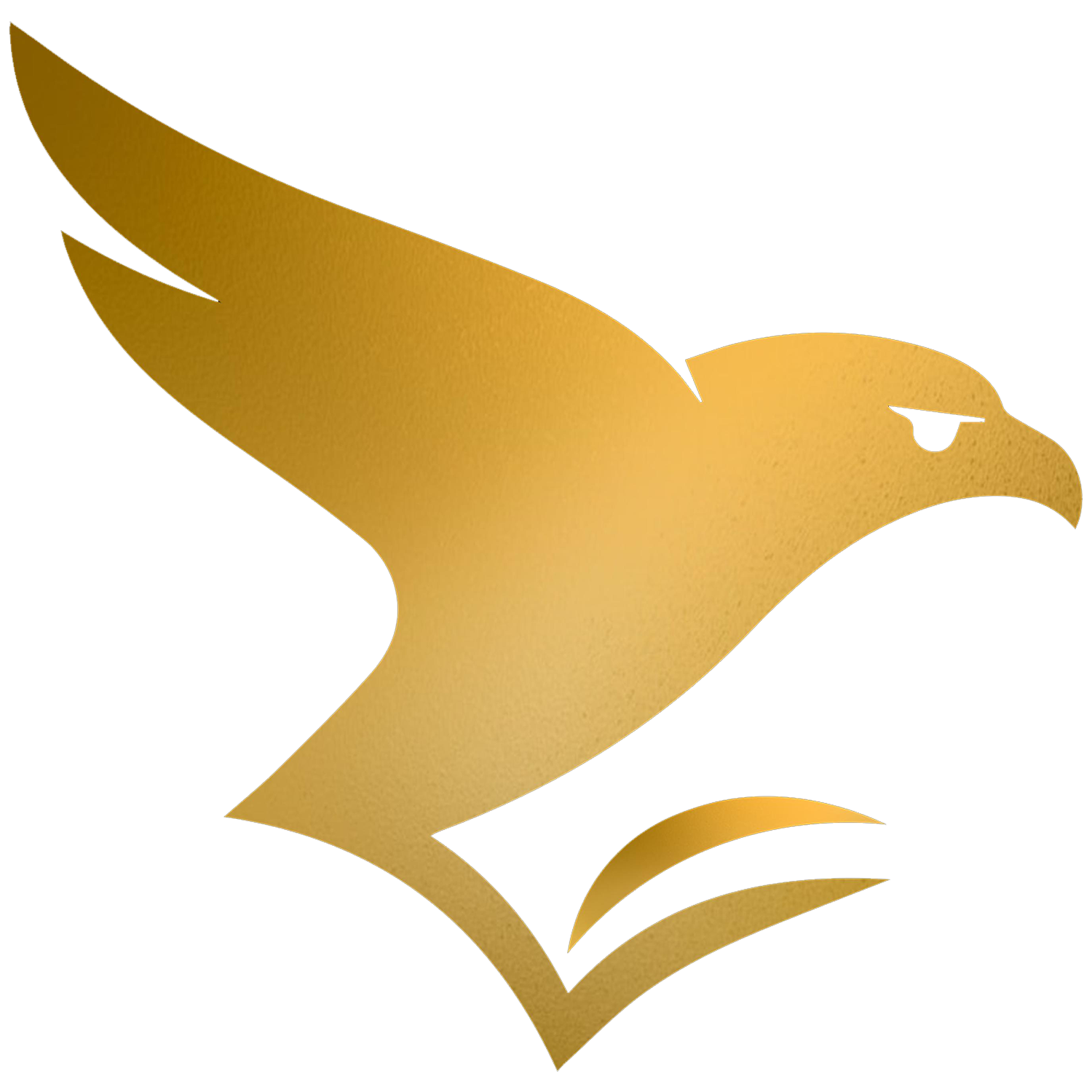 FJES logo